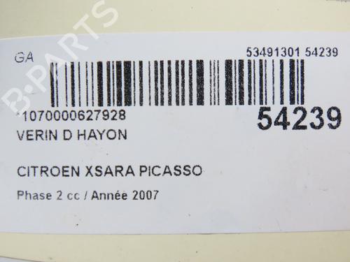 Gassdemper Bakluke CITROËN XSARA PICASSO (N68) 1.6 HDi (90 hp) 28802204