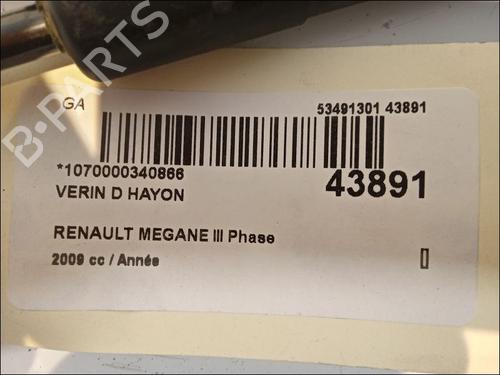 Tailgate lift support RENAULT MEGANE III Hatchback (BZ0/1_, B3_) 1.5 dCi (BZ09, BZ0D, BZ1W, BZ29, BZ14) | BP14880102C138 