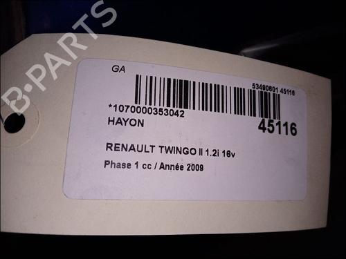 Used Tailgate RENAULT TWINGO II (CN0_) 1.2 16V (CN0K, CN0V, CN0A) (76 hp) 11103706