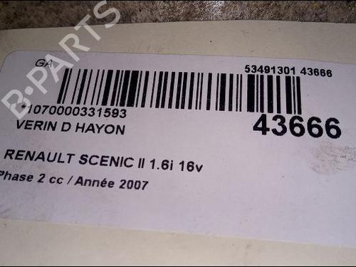 Used Tailgate lift support RENAULT SCÉNIC II (JM0/1_) 1.6 16V (JM1R) (112 hp) 14880094