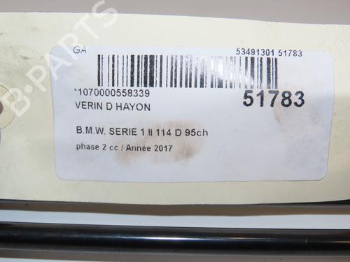 Tailgate lift support BMW 1 (F20) 114 d | BP26381295C138
