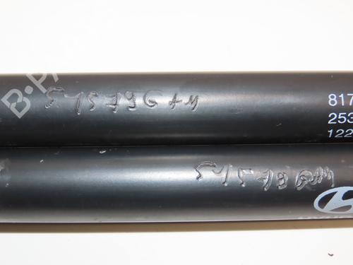 Tailgate lift support HYUNDAI TUCSON (JM) 2.0 CRDi All-wheel Drive | BP28832278C138 