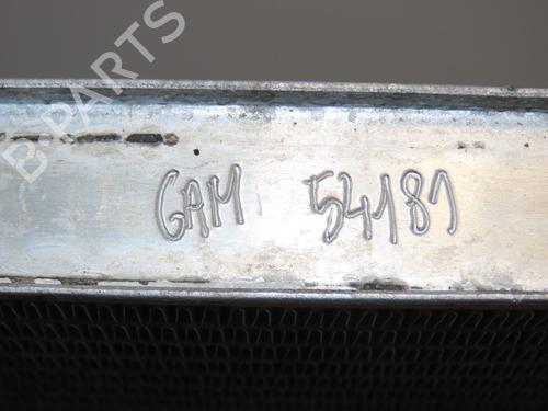 Used Water radiator Water radiator RENAULT KANGOO / GRAND KANGOO II (KW0/1_) 1.5 dCi 85 (KW0K, KW0L, KW0B) (86 hp) 28829188 28829188