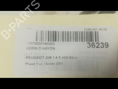 Tailgate lift support PEUGEOT 208 I (CA_, CC_) 1.6 HDi | BP14879674C138 