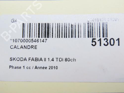 Used Grille SKODA FABIA II (542) 1.4 TDI (80 hp) 28830878