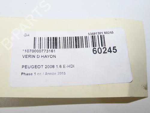tailgate-lift-support-peugeot-2008-i-cu_-2013-37185873 main image