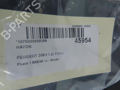 Tailgate PEUGEOT 308 SW II (LC_, LJ_, LR_, LX_, L4_) 1.2 THP 110 | BP28832140C6 