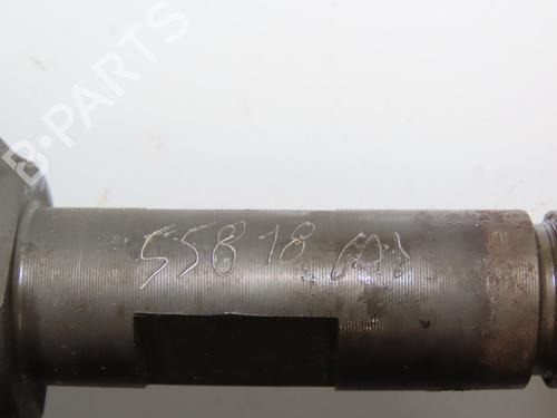 Injector RENAULT SCÉNIC III (JZ0/1_) 1.9 dCi (JZ0J, JZ1J, JZ1K, JZ1S) | BP30916875M100