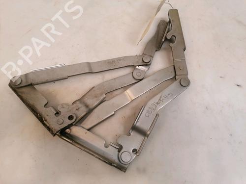 Hinge/Door check strap PEUGEOT 807 (EB_) 2.0 HDI | BP16555767C146