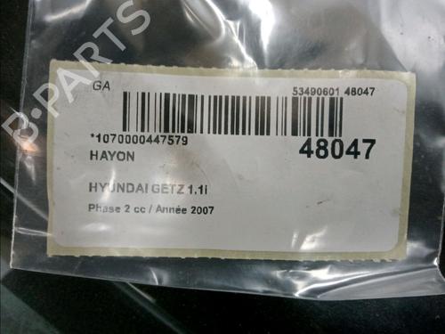 Tailgate HYUNDAI GETZ (TB) 1.1 | BP17371602C6 