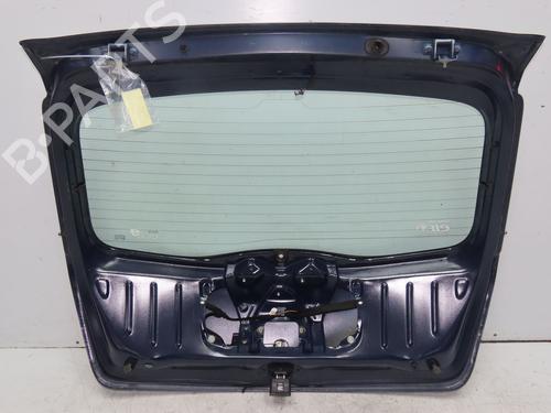 Used Tailgate Tailgate DACIA SANDERO 1.5 dCi (75 hp) 29551210 29551210