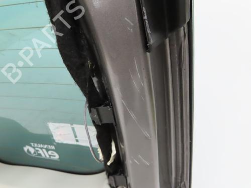 Tailgate RENAULT SCÉNIC III (JZ0/1_) 1.5 dCi | BP28832143C6 