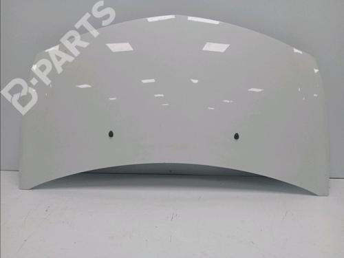 Used Hood RENAULT CLIO III (BR0/1, CR0/1) 1.5 dCi (75 hp) 11747012
