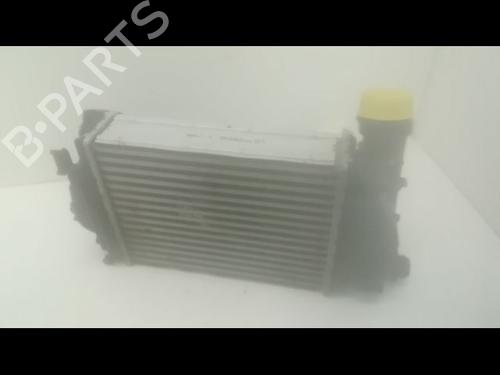 Other NISSAN QASHQAI II (J11, J11_) 1.6 dCi | BP14874475O1