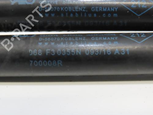 Hood lift support RENAULT SCÉNIC III (JZ0/1_) 1.5 dCi | BP28968399C139 