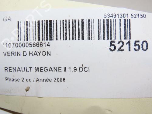 Tailgate lift support RENAULT MEGANE II Estate (KM0/1_) 1.9 dCi | BP28969290C138 