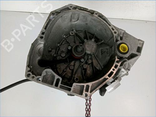 Used Gearbox RENAULT SCÉNIC III (JZ0/1_) 1.2 TCe (116 hp) 17551938