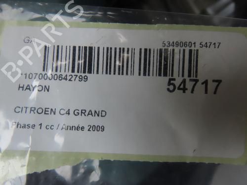 tailgate-citroen-c4-picasso-i-mpv-ud_-2006-2007-2008-2009-2010-2011-2012-2013-2014-2015-31121054 main image