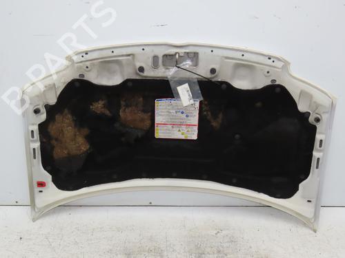 Hood FIAT PANDA (169_) 1.3 D Multijet (169AXG1A, 169AXD1A) | BP22996906C1 