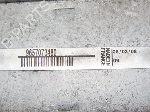 Annen CITROËN C5 III (RD_) 2.0 HDi (RDRHD8, RDRHDJ, RDRHR8, RDRHRJ) | BP28828740O1 