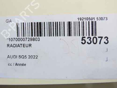 Wasserkühler für Wasserkühler AUDI Q5 (FYB, FYG) 40 TDI Mild Hybrid quattro (204 hp) 39698915 39698915