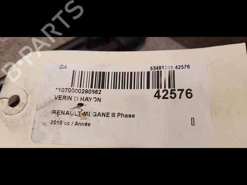 Used Tailgate lift support RENAULT MEGANE III Hatchback (BZ0/1_, B3_) 1.4 TCe (BZ0F, BZ1V) (131 hp) 14880058