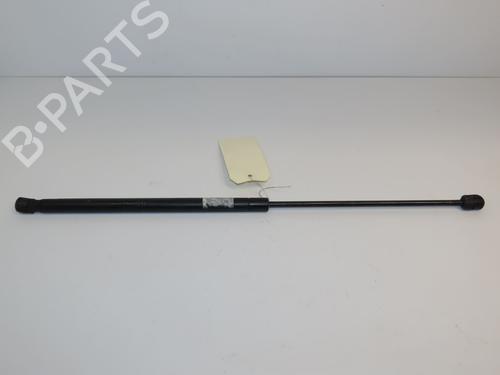 hood-lift-support-porsche-cayenne-9pa-2002-2003-2004-2005-2006-2007-2008-2009-2010-24358959 main image