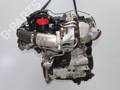 Engine AUDI Q5 (FYB, FYG) 40 TDI Mild Hybrid quattro | BP32872874M1  - Image 5