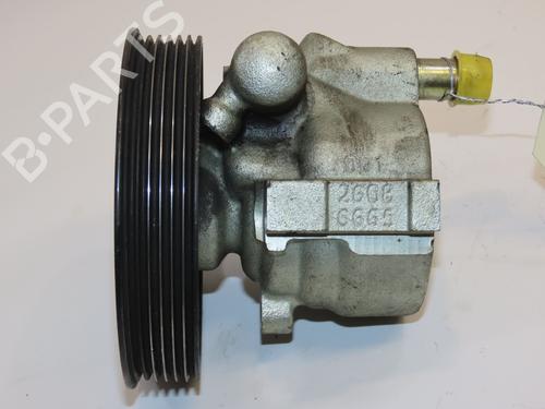 Steering pump RENAULT MEGANE I (BA0/1_) 1.6 16V (BA04, BA0B, BA11, BA1J, BA16, BA19, BA1K, BA1V,... | BP28967476M99 