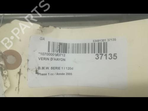 Tailgate lift support BMW 1 (E87) 120 d | BP14879722C138 