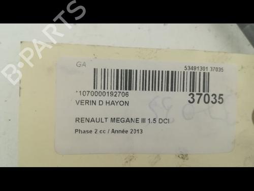 Tailgate lift support RENAULT MEGANE III Hatchback (BZ0/1_, B3_) 1.5 dCi (BZ0C) | BP14879716C138 