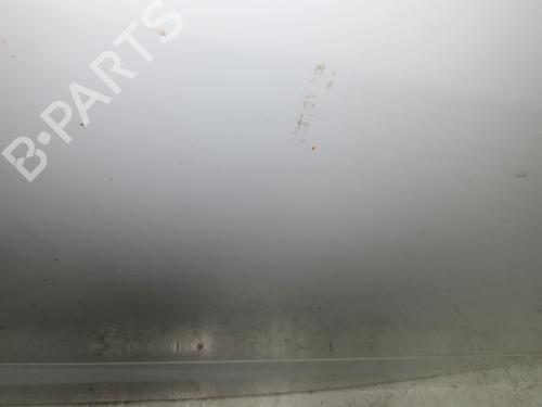 Right front door RENAULT SCÉNIC III (JZ0/1_) 1.9 dCi (JZ0J, JZ1J, JZ1K, JZ1S) | BP31077341C3