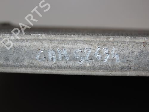 Heater matrix RENAULT SCÉNIC I MPV (JA0/1_, FA0_) 1.6 (JA00, JA16, JA15, JA19, JA1V, JA2B, JA2C, JA0B,... | BP28801484M63