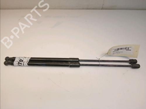 Tailgate lift support SKODA FABIA II (542) 1.4 TDI | BP14880159C138