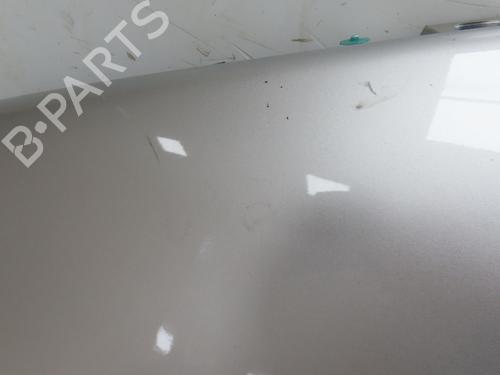 Left front fenders RENAULT SCÉNIC III (JZ0/1_) 1.5 dCi | BP28801868C41 