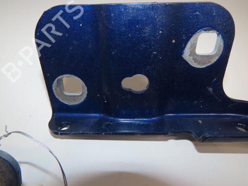 Hinge/Door check strap RENAULT CLIO V (B7_) 1.0 SCe 65 (B7MG) | BP29441749C146 