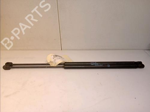 Used Tailgate lift support PEUGEOT 1007 (KM_) 1.4 HDi (68 hp) 14880162
