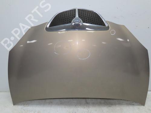 Hood LANCIA YPSILON (843_) 1.4 (843.AXG1A) | BP28968368C1 
