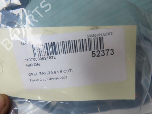 Tailgate OPEL ZAFIRA / ZAFIRA FAMILY B (A05) 1.9 CDTI (M75) | BP28832158C6 