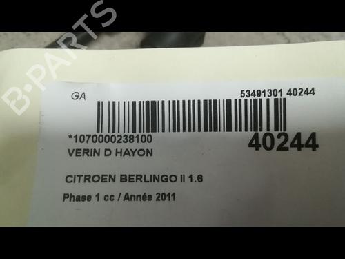 Gasdæmper bagklap CITROËN BERLINGO MULTISPACE (B9) 1.6 HDi 90 (92 hp) 14879928