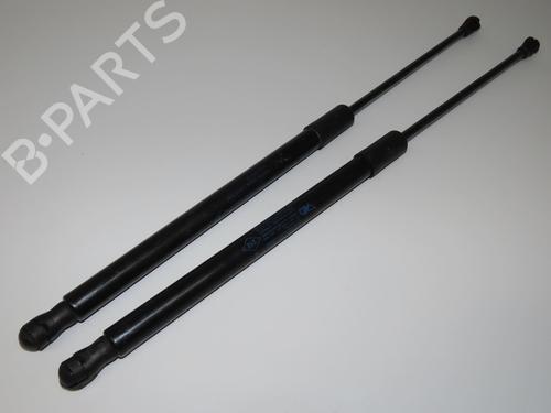tailgate-lift-support-renault-clio-v-b7_-2019-33998897 main image
