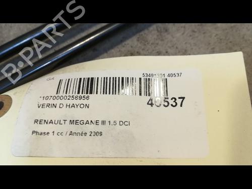 Tailgate lift support RENAULT MEGANE III Coupe (DZ0/1_) 1.5 dCi (DZ0A) | BP14879953C138 