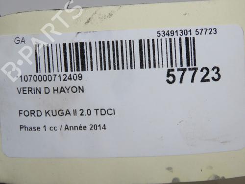Tailgate lift support FORD KUGA II (DM2) 2.0 TDCi | BP36873892C138  - Image 5