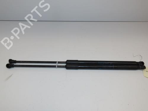 Tailgate lift support RENAULT CLIO V (B7_) 1.0 SCe 65 (B7MG) | BP29441813C138 