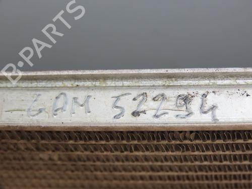 Køler FORD FIESTA VI (CB1, CCN) 1.25 | BP28829174M31