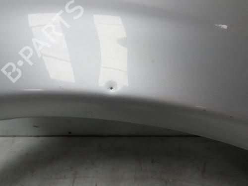 Right front fenders RENAULT CLIO III (BR0/1, CR0/1) 1.5 dCi | BP28484142C42