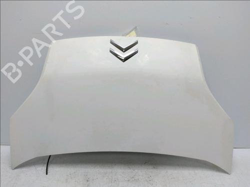 Panser CITROËN NEMO Box Body/MPV (AA_) 1.3 HDi 75 (75 hp) 19170736
