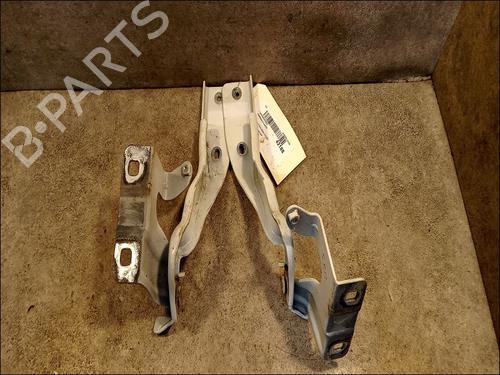 Used Hinge/Door check strap RENAULT KOLEOS I (HY_) 2.0 dCi 4x4 (HY0K) (150 hp) 14878951