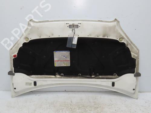 Hood FIAT DOBLO Box Body/MPV (223_) 1.3 D Multijet | BP28831047C1 