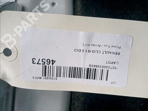 Hood RENAULT CLIO III (BR0/1, CR0/1) 1.5 dCi | BP11747012C1 